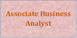 Associate Business Analyst