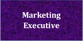 Marketing Executive