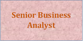 Senior Business Analyst