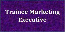 Trainee Marketing Executive