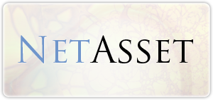 NetAsset