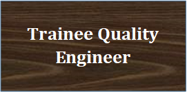 Trainee Quality Assurance Engineer